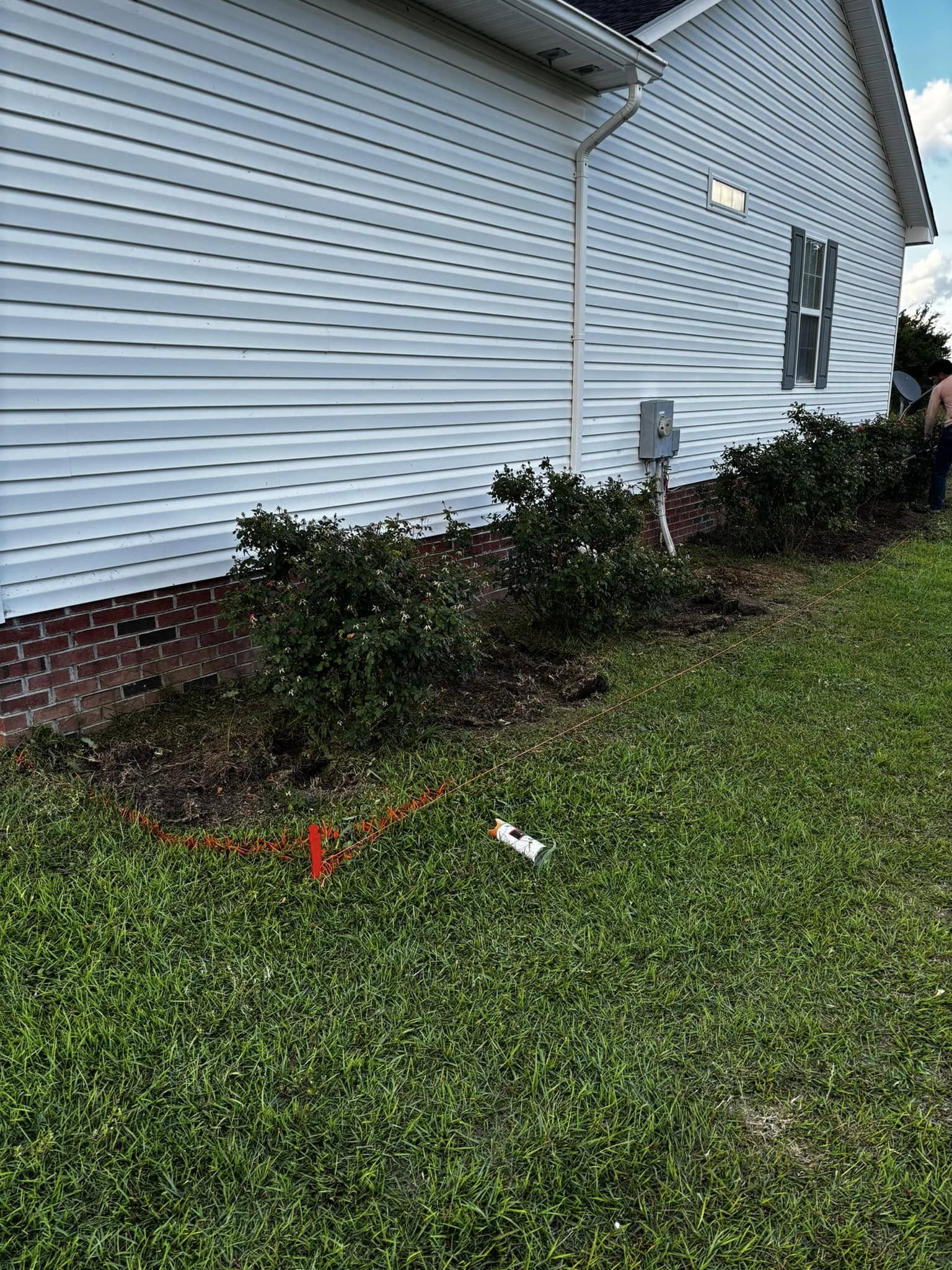 Overgrown landscape bed along the side of a house, before